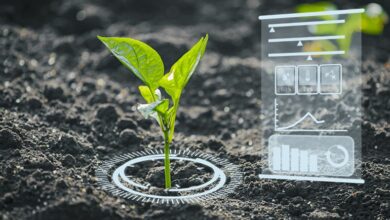 7 Ways AI-Driven Regenerative Farming Is Transforming Regenerative Farming