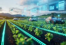 AI and Big Data In Fertilizer Optimization.