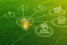 AI in Pest Control in Southern Africa is transforming pest management in 2026 with smart detection, predictive analytics, and sustainable solutions
