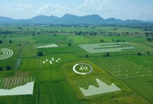 7 Ways AI in Agriculture Is Revolutionizing Fertilizer Efficiency in Southern Africa in 2026