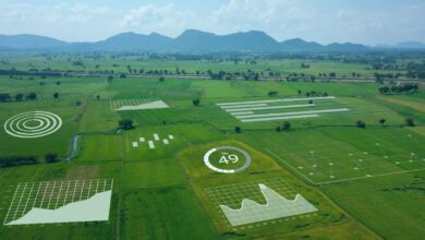 7 Ways AI in Agriculture Is Revolutionizing Fertilizer Efficiency in Southern Africa in 2026