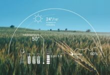 5 Ways AI in Agriculture Is Accelerating Innovation Through Global Fellowships