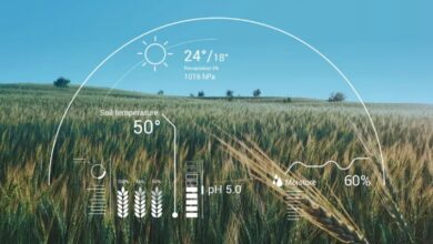 5 Ways AI in Agriculture Is Accelerating Innovation Through Global Fellowships