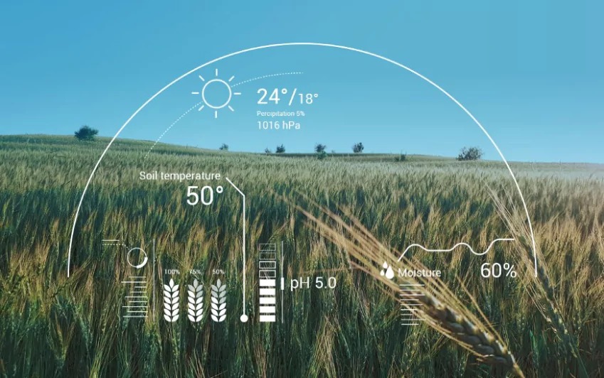 5 Ways AI in Agriculture Is Accelerating Innovation Through Global Fellowships