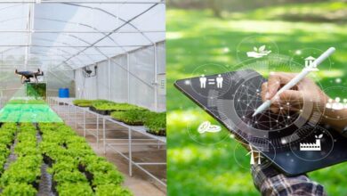 7 Game-Changing Ways AI-Powered Produce Sorting Will Transform Post-Harvest Farming in 2026