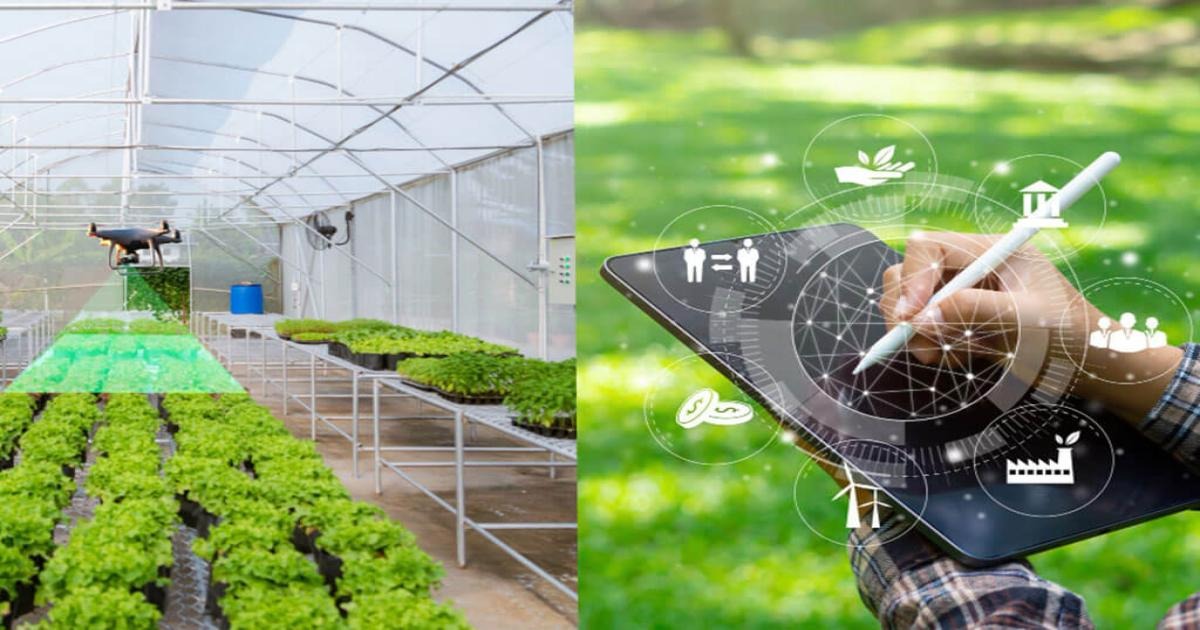 7 Game-Changing Ways AI-Powered Produce Sorting Will Transform Post-Harvest Farming in 2026