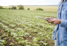Remote Sensing Analyst Career: Perfect for an Agriculture Background