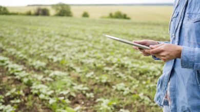 Remote Sensing Analyst Career: Perfect for an Agriculture Background