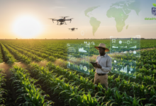 agribusiness sector trends in Africa
