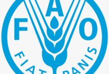 Crops and Extension Specialist (SC7) at FAO: A Powerful Career Opportunity Transforming Agriculture in Zimbabwe