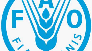 Champion Change: Help Shape the Future of Our Forests as a Forestry Expert Feb 25, 2026