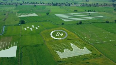 Digital Twins in African