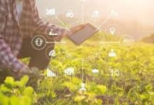 AI can benefit smallholder farmers in Africa