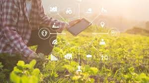 AI can benefit smallholder farmers in Africa