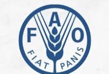 Nutrition and Food Systems Specialist at FAO: Skills, Impact, and Career Opportunities 2026