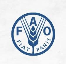 Nutrition and Food Systems Specialist at FAO: Skills, Impact, and Career Opportunities 2026