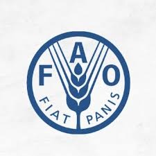 Nutrition and Food Systems Specialist at FAO: Skills, Impact, and Career Opportunities 2026