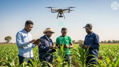 Smart Farming in Africa