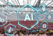 Artificial intelligence in greenhouses