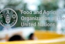 FAO
