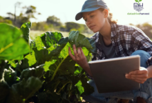 remote agriculture jobs