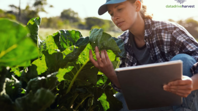 remote agriculture jobs