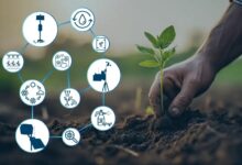 Farming That Fixes the Land