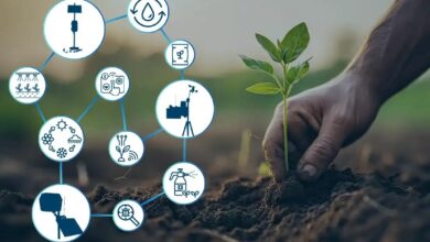 Farming That Fixes the Land