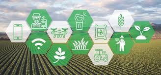 urban farming in Southern Africa