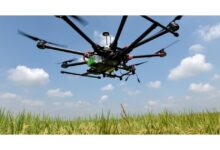 future of food in Southern Africa