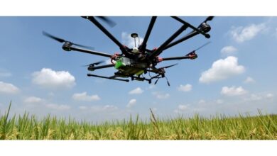 future of food in Southern Africa