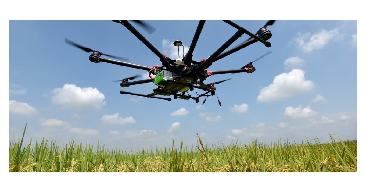 future of food in Southern Africa