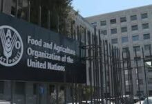 FAO