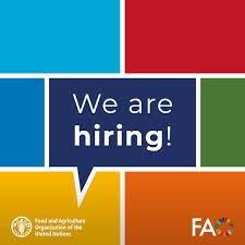 FAO National Project Personnel Job