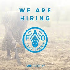FAO Job