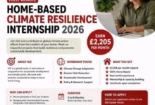 GIZ Jobs