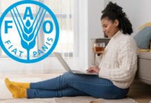 FAO Evaluation Specialist