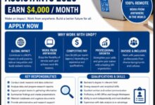 UNDP Jobs 2026