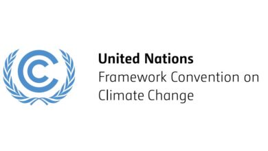 UNFCCC Jobs