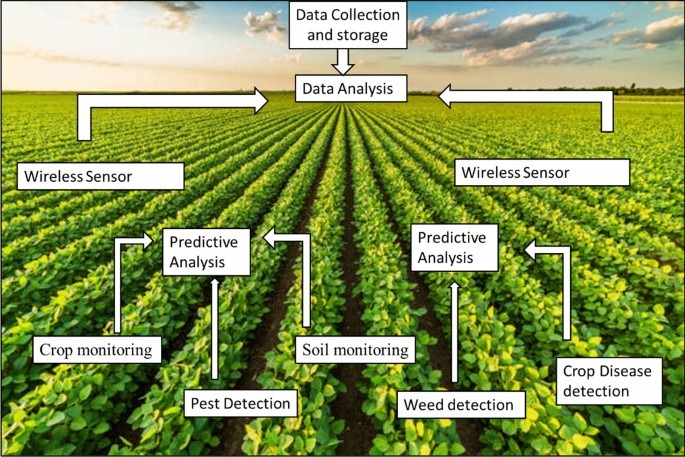 crop monitoring